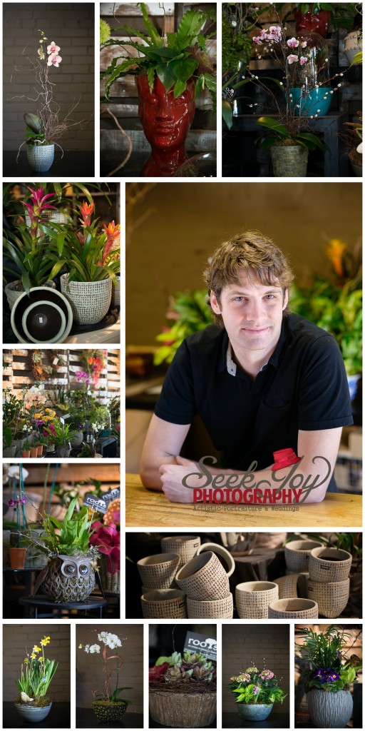 Container GardeningRootsGreenville, SCTALK Greenville Magazine