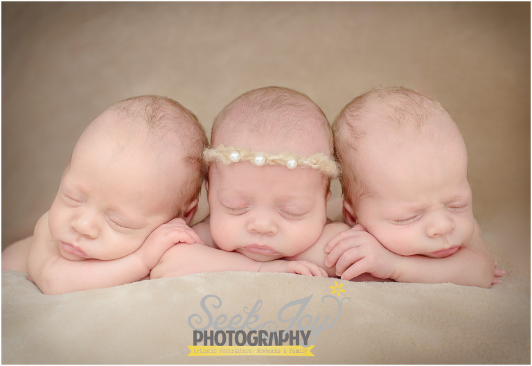 newborn triplets by greenville sc newborn photographer