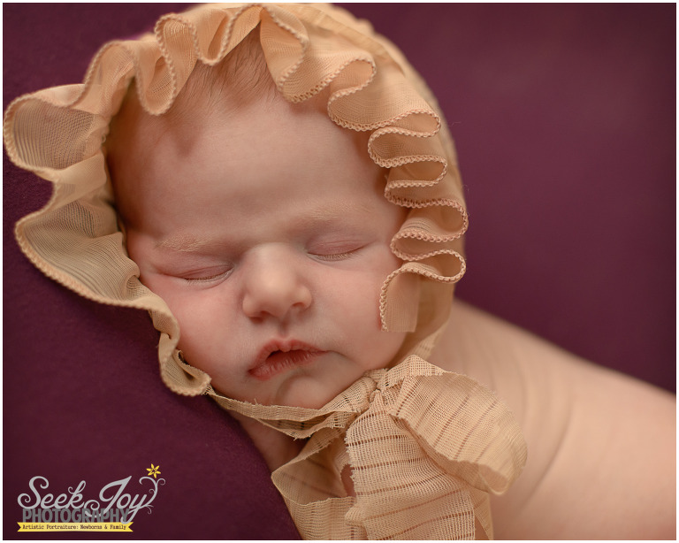 greenville newborn photography