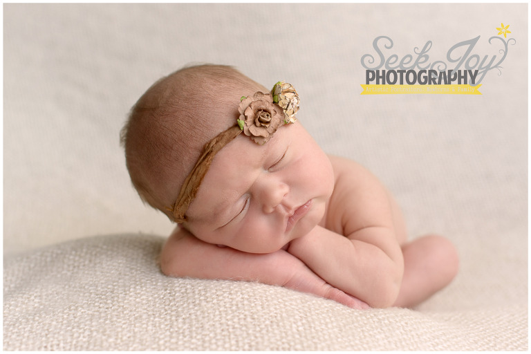 greenville newborn photographer